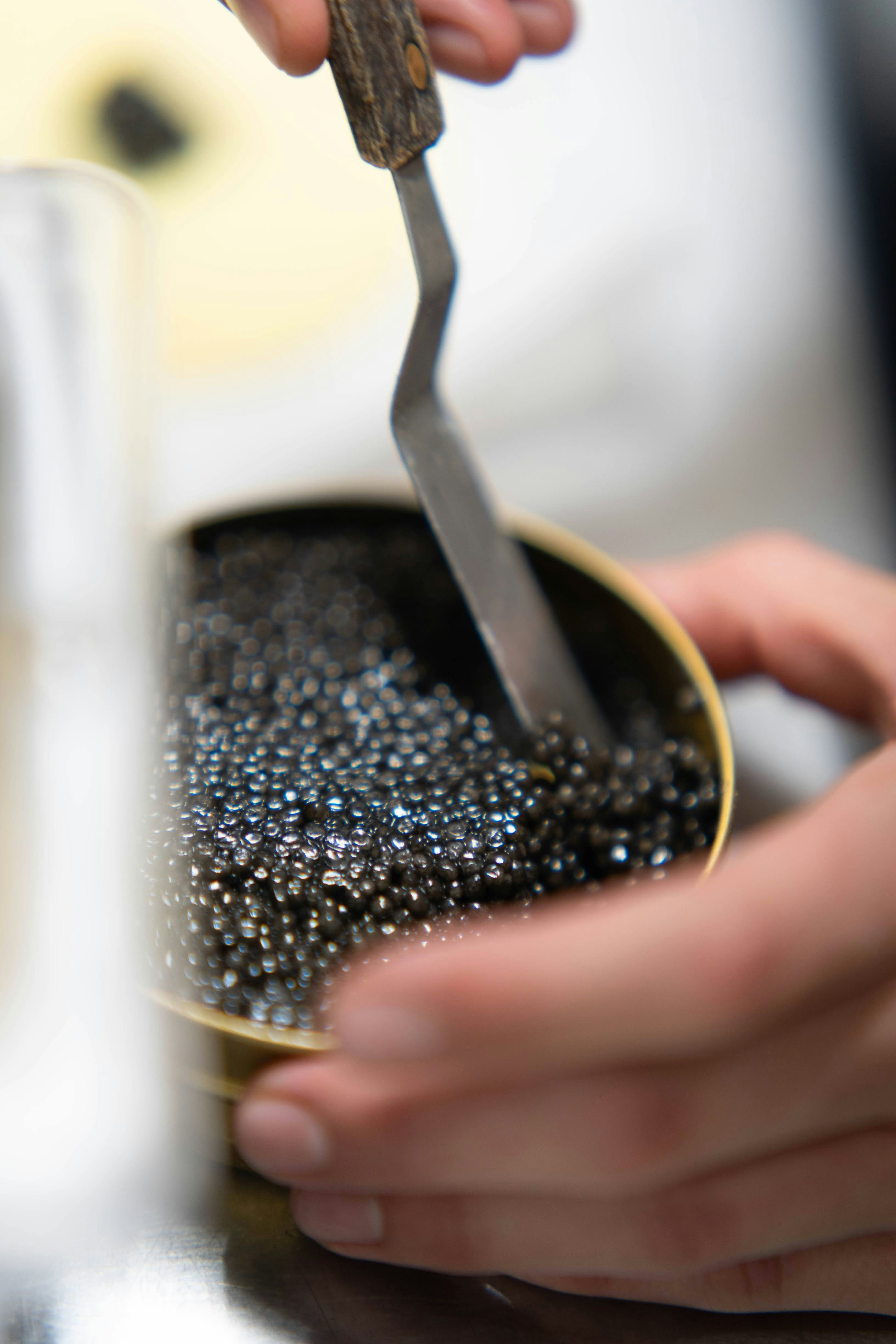 Premium caviar